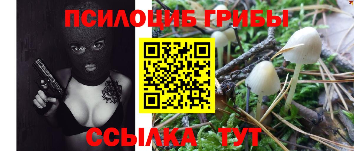 Галлюциногенные грибы мухоморы  Вход с VPN  Дзержинск  Псилоцибиновые грибы прущие грибы 